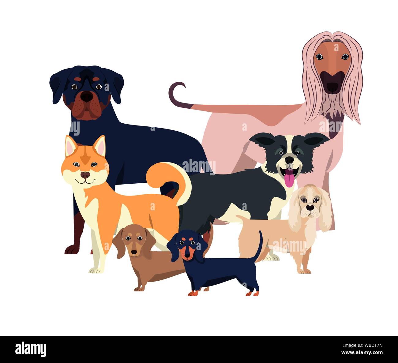set of adorable dogs on white background Stock Vector Image & Art - Alamy