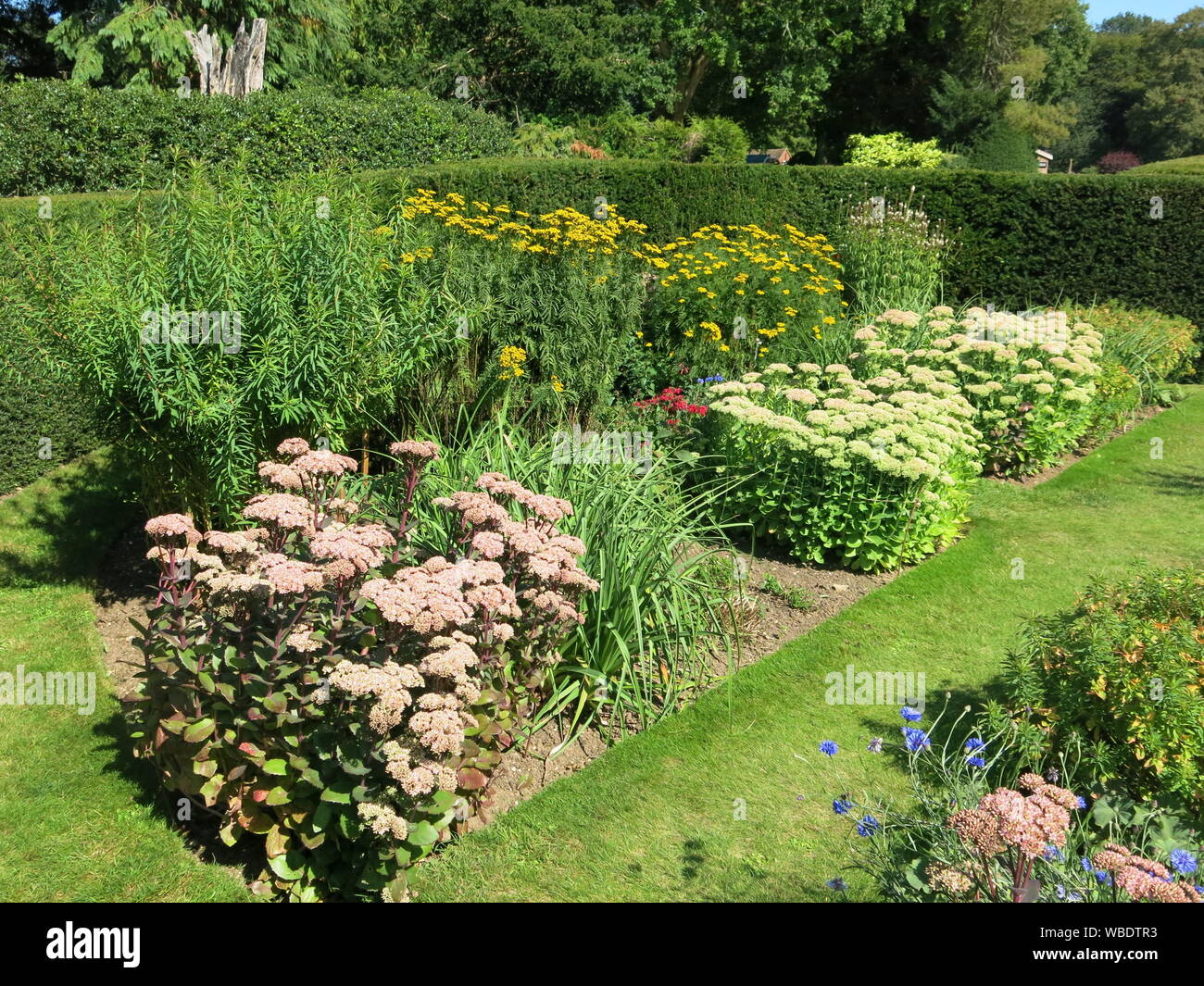 Herbaceous Borders High Resolution Stock Photography and Images - Alamy