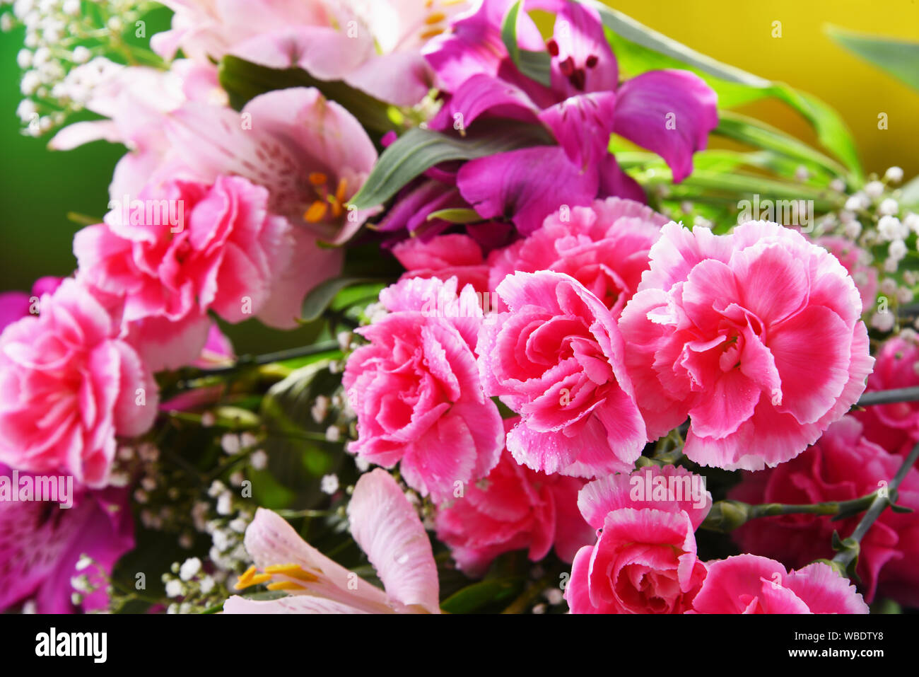 Composition with bouquet of freshly cut flowers. Stock Photo