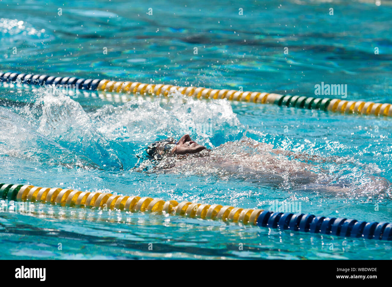 A Paraplegic man Swims In a Pool backstroke Stock Photo Alamy