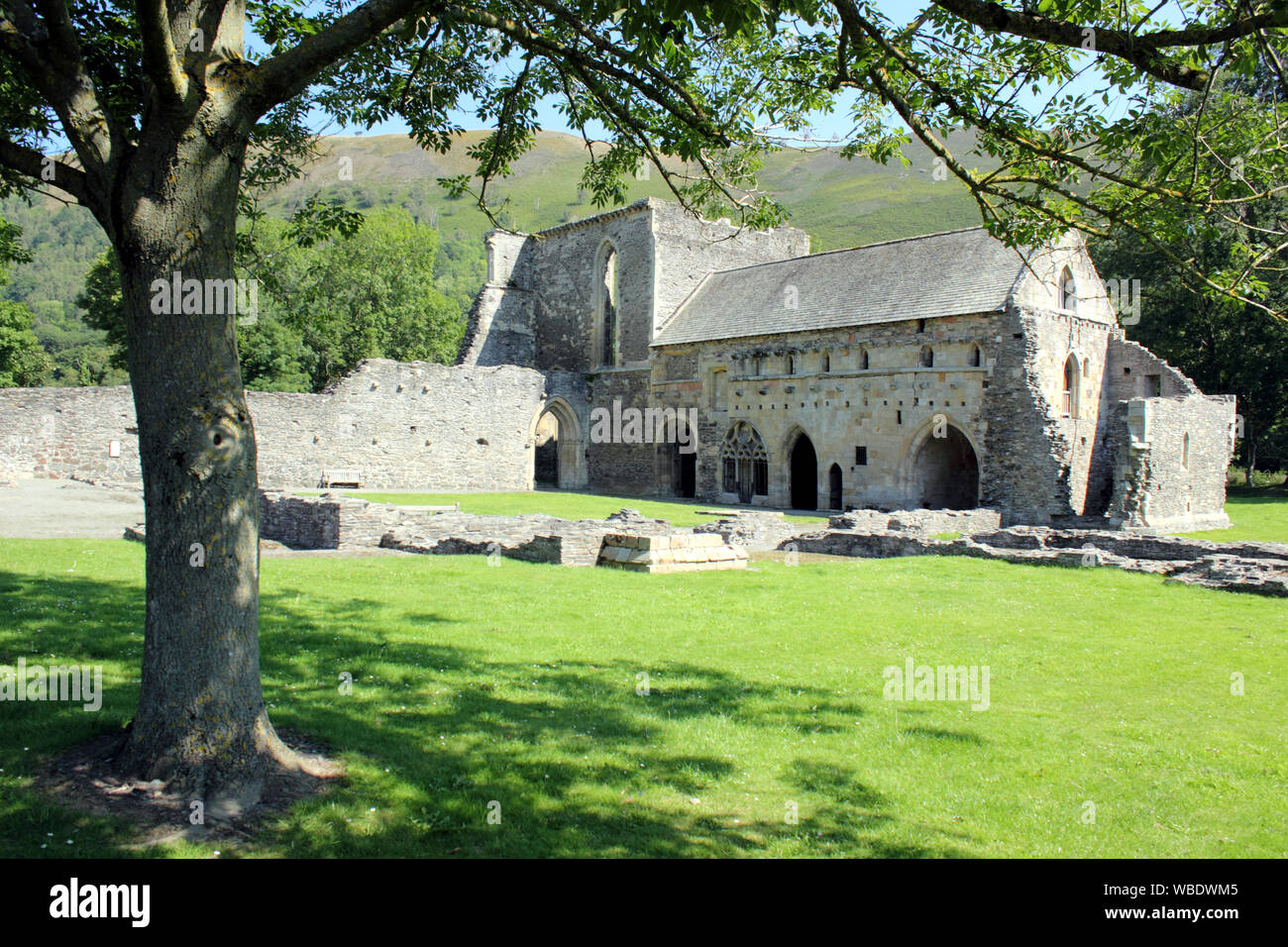 View of ruins of Valle Crucis Abbey Llangollen Stock Photo Alamy