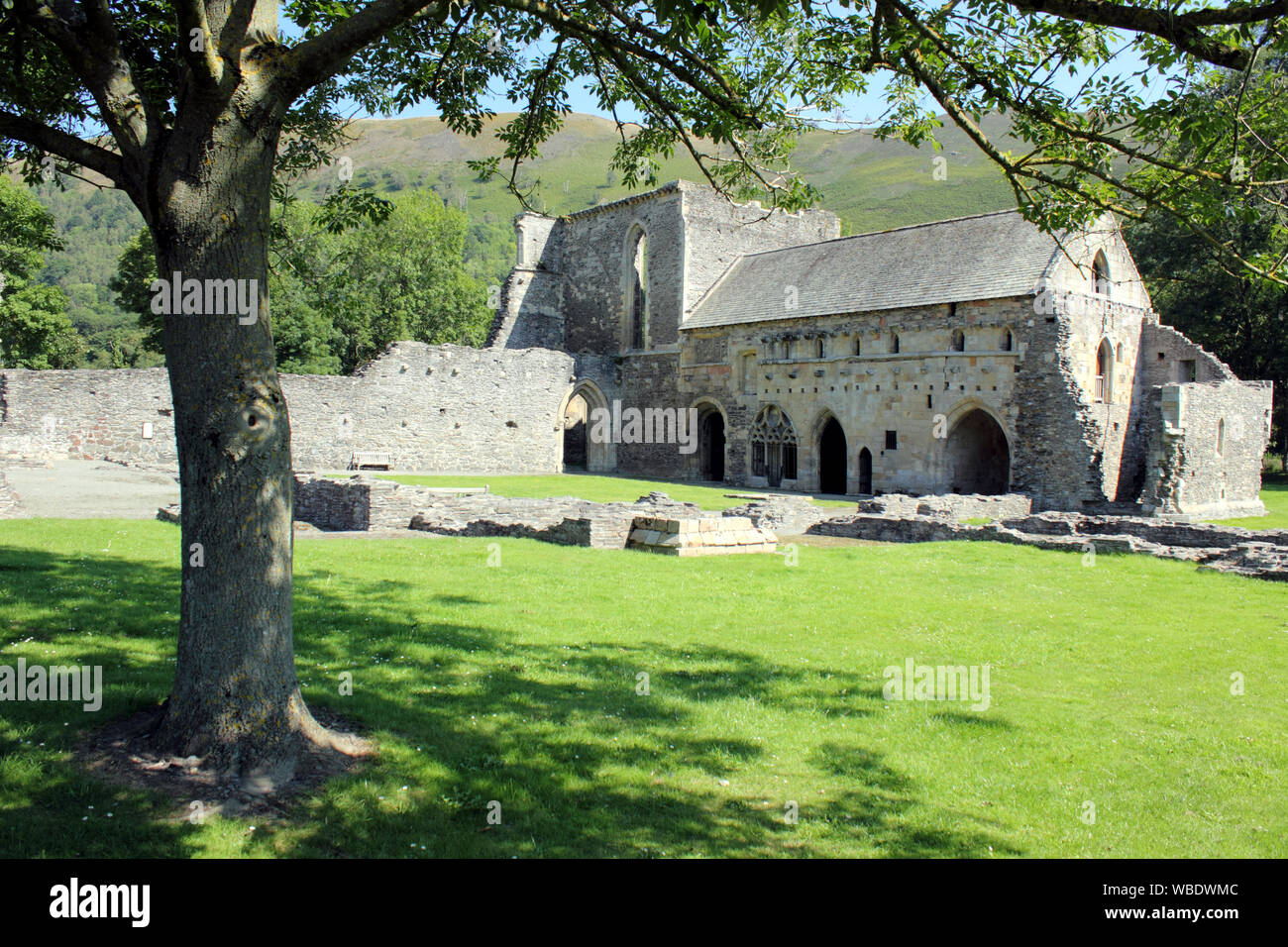 View of ruins of Valle Crucis Abbey Llangollen Stock Photo Alamy