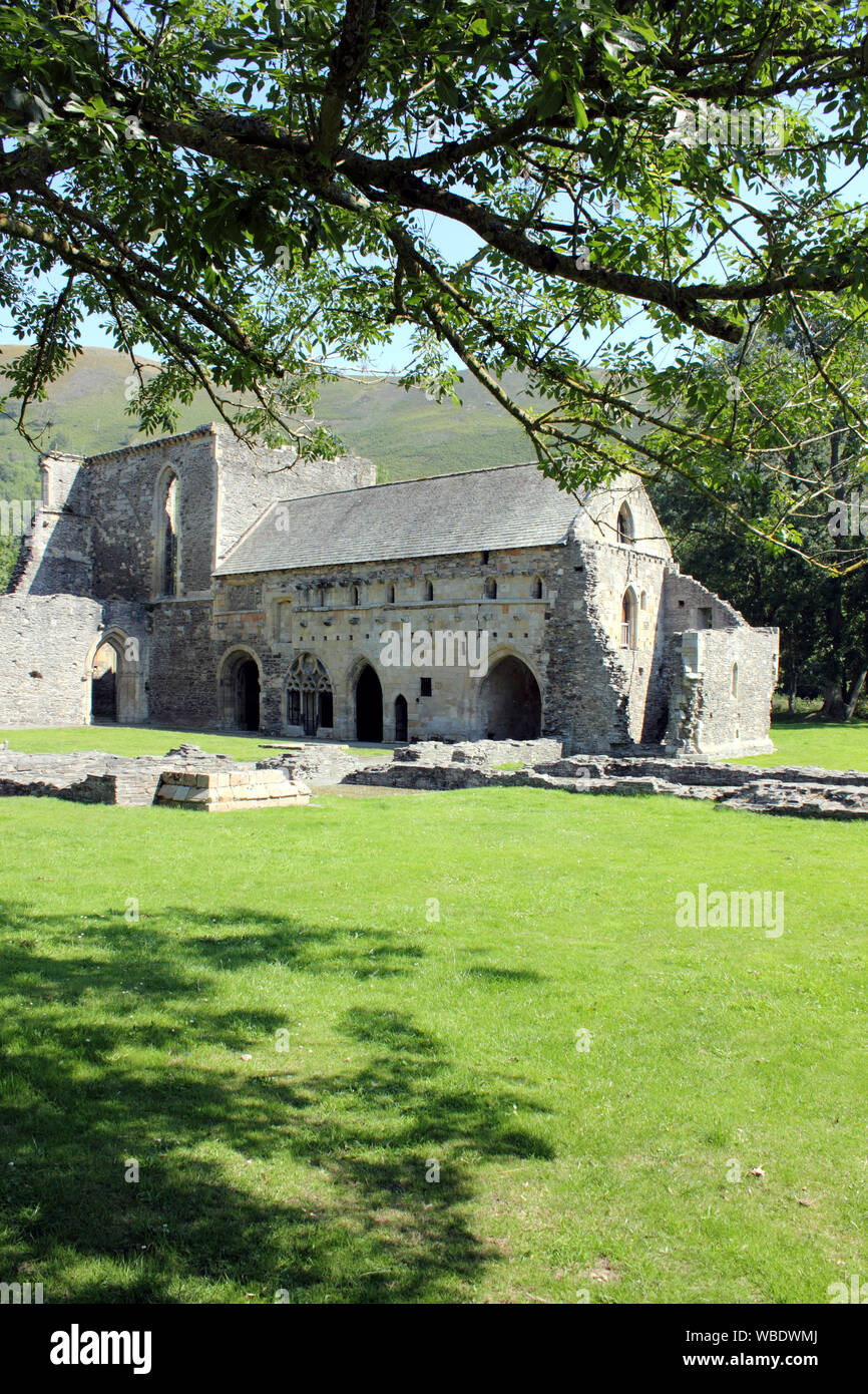View of ruins of Valle Crucis Abbey Llangollen Stock Photo Alamy