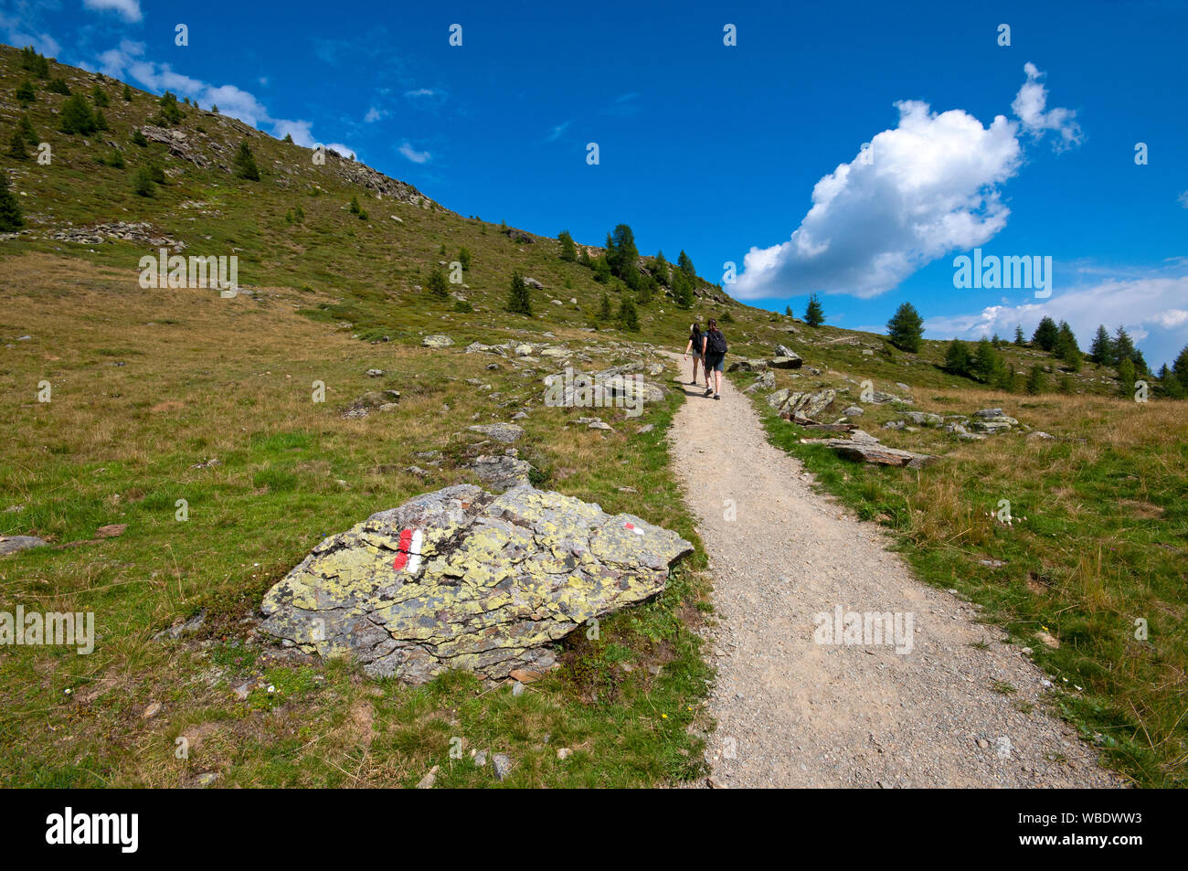 Hiking along the panoramic path in Schwemmalm area, Val d'Ultimo (Ultental), Bolzano, Trentino Alto Adige, Italy Stock Photo