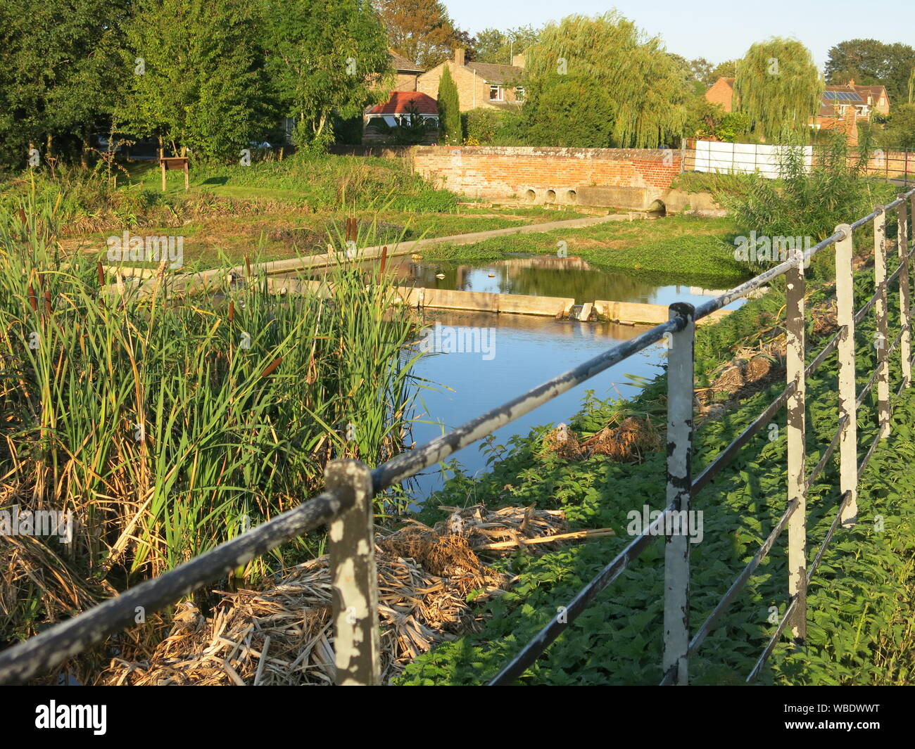 The historic watercress beds at Ewelme village in Oxfordshire; the
