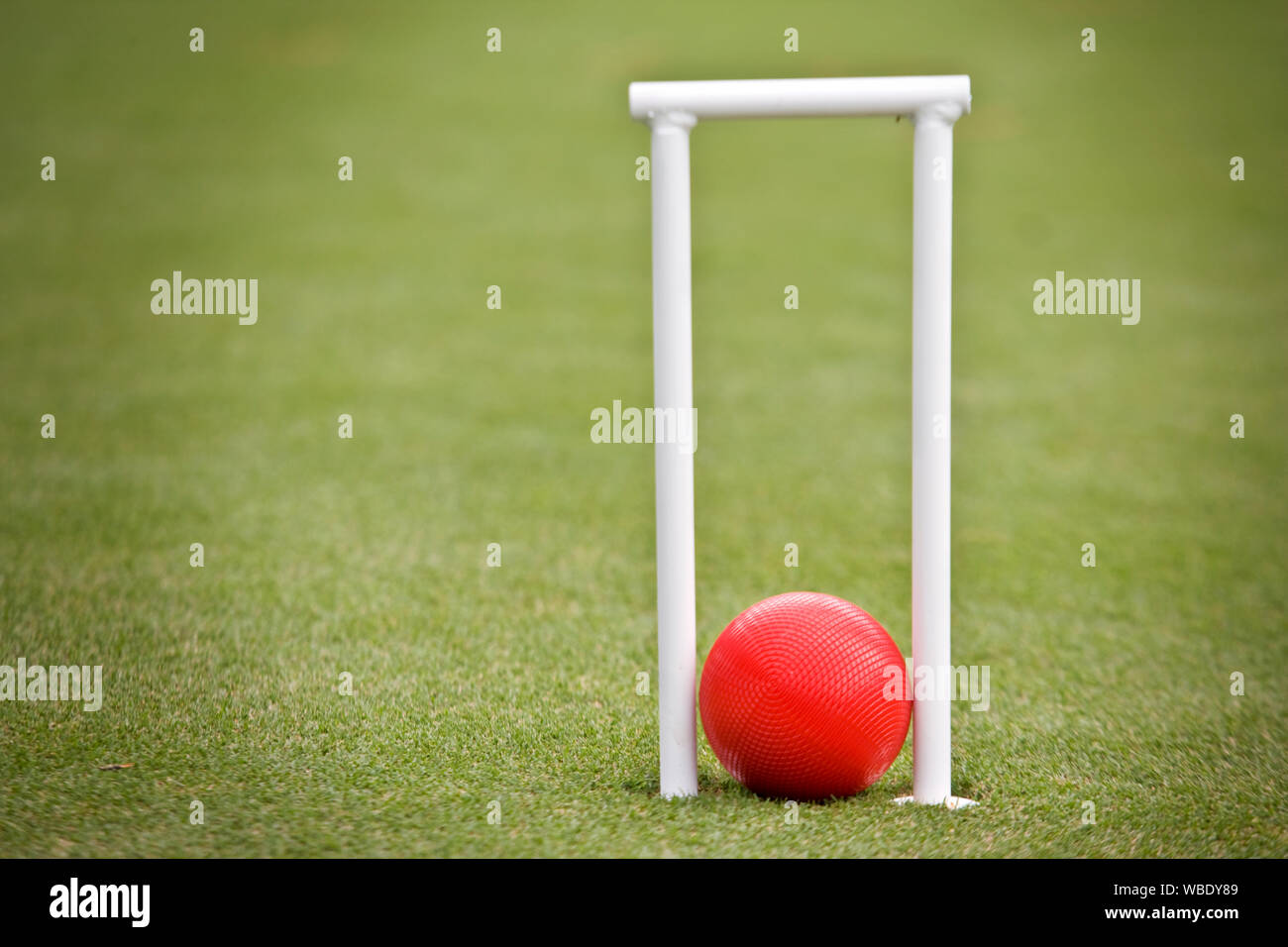 Child's cricket wickets and cricket ball Stock Photo