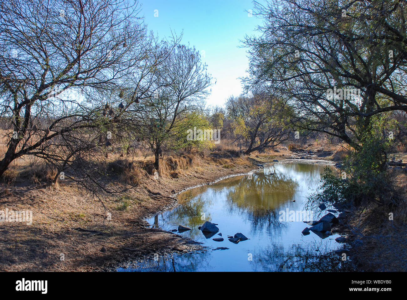 The remote landscape of the Waterberg in Limpopo Province, South Africa