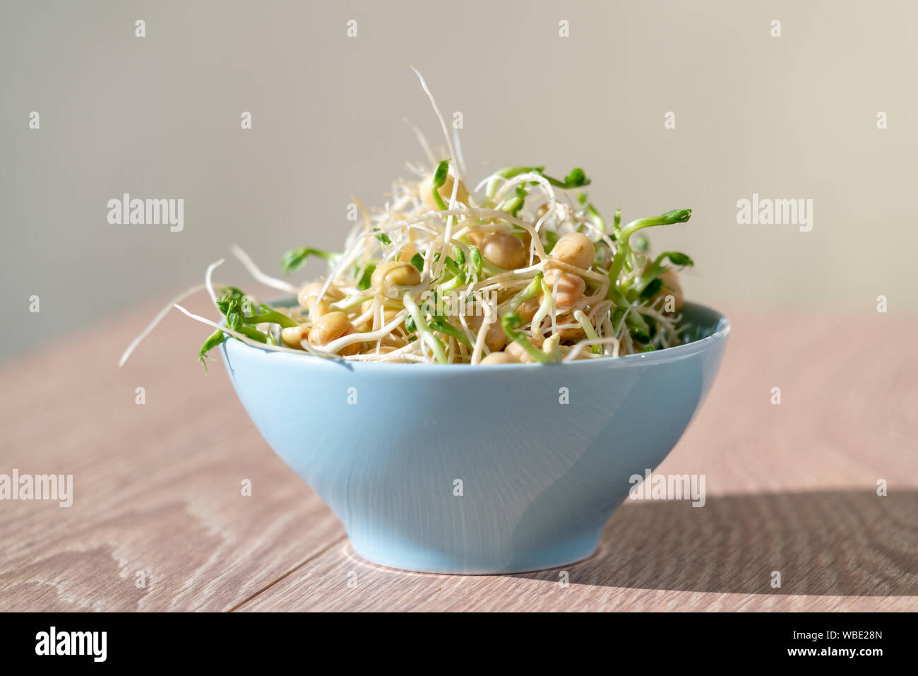 Germinated seeds for salad. Seeds For Salad Sprouts Stock Photo Alamy