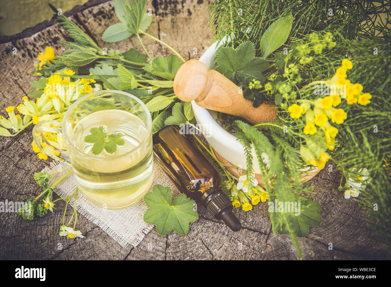 Ladys mantle tincture hi-res stock photography and images - Alamy