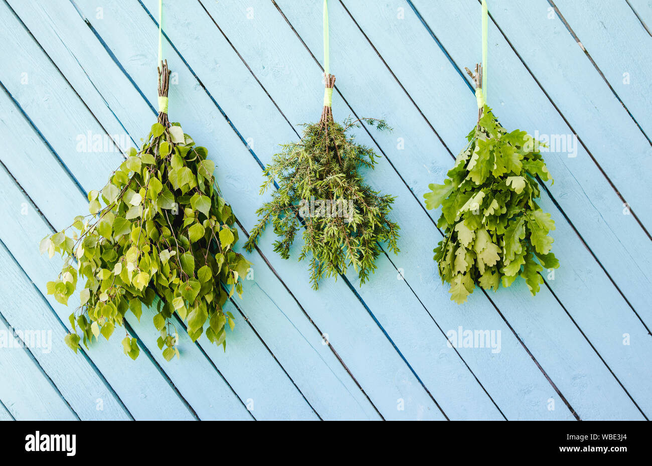 Different homemade fresh sauna whisks branches hanging and drying on blue wall. Birch, oak and juniper broom bundles. Stock Photo