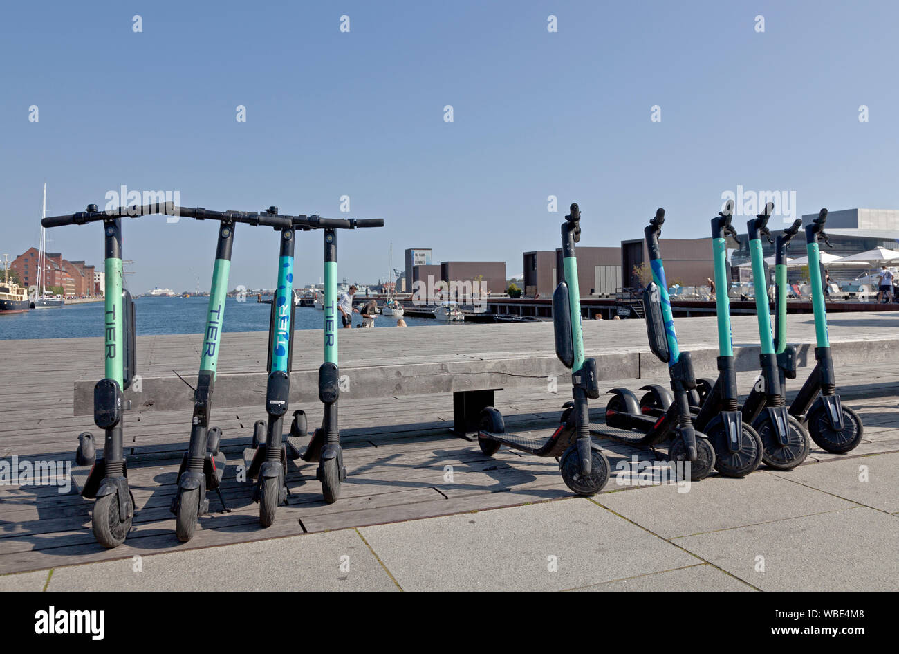Row of E-scooters from TIER company for hire in Copenhagen inner harbour at Larsens Plads, Ofelia, Stock Photo