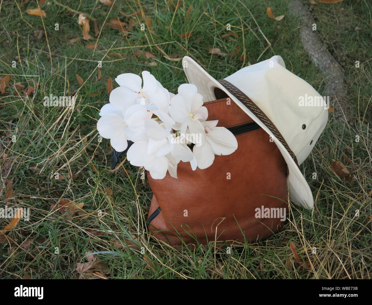 After the garden party: an abandoned handbag in the grass with a gentleman's panama hat propped on one side and an orchid on the other. Stock Photo