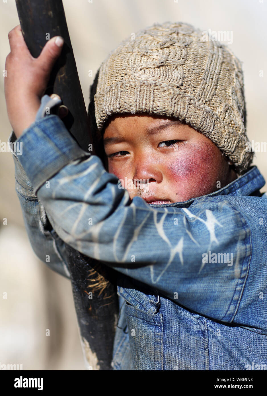 Nomadic boy in the high altitude plateau Changtang of the Himalayas, Ladakh Stock Photo
