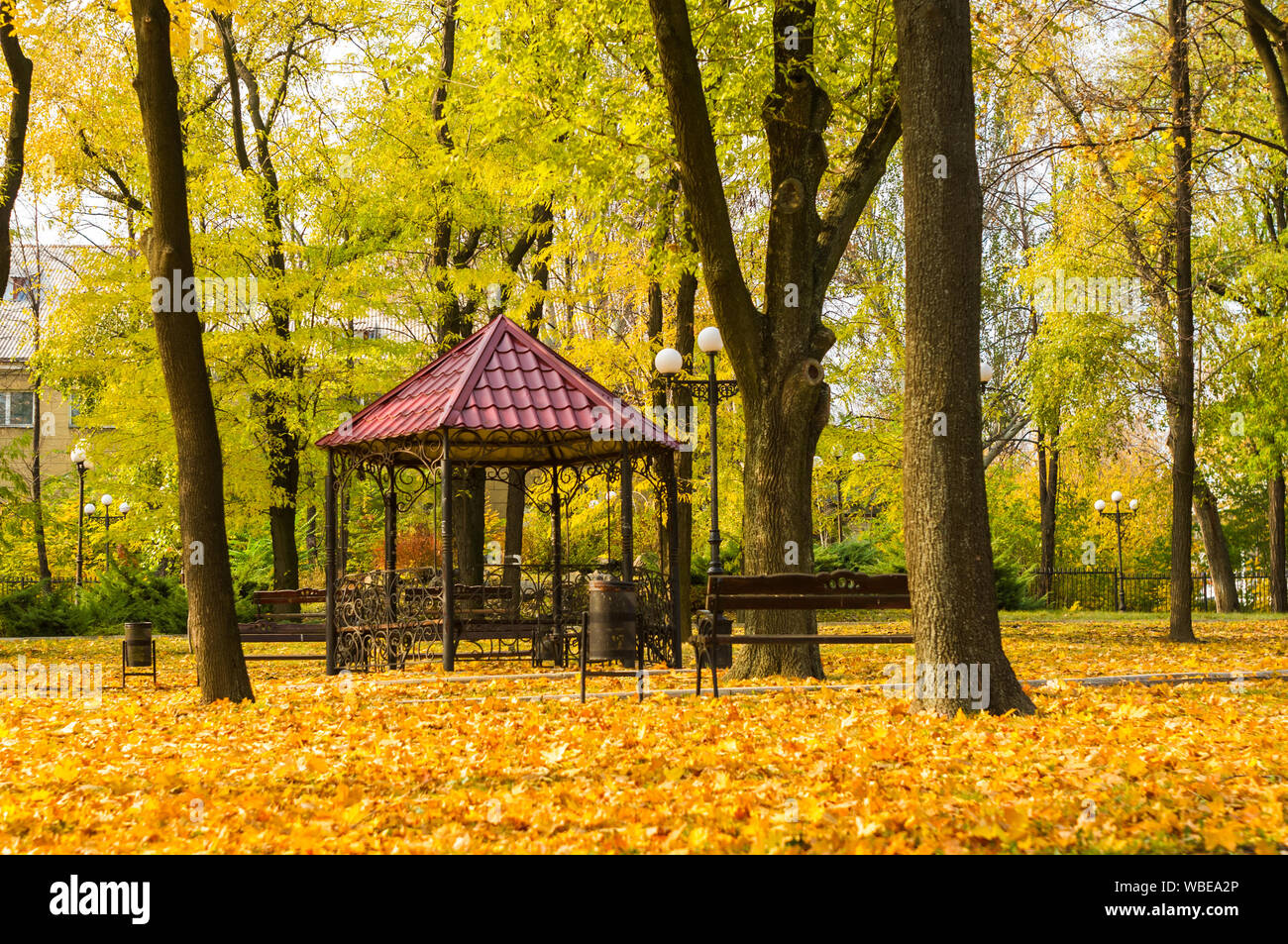 Autumn cityscape on a Sunny day - yellow autumn trees in the Park ...