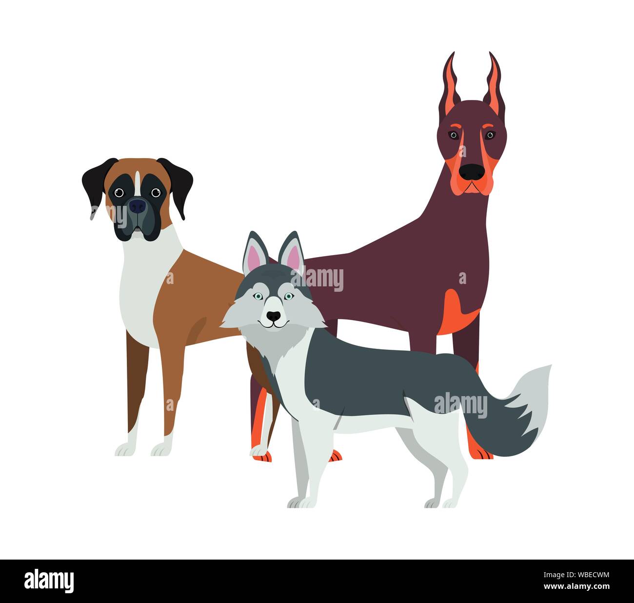 set of adorable dogs on white background Stock Vector Image & Art - Alamy
