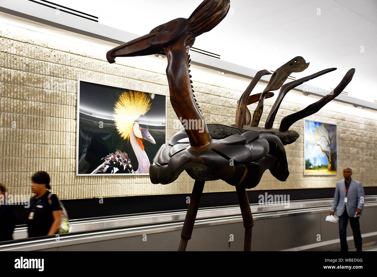 Walking escalator in corridor at Hartsfield–Jackson Atlanta International Airport with paints and sculptures on display Stock Photo