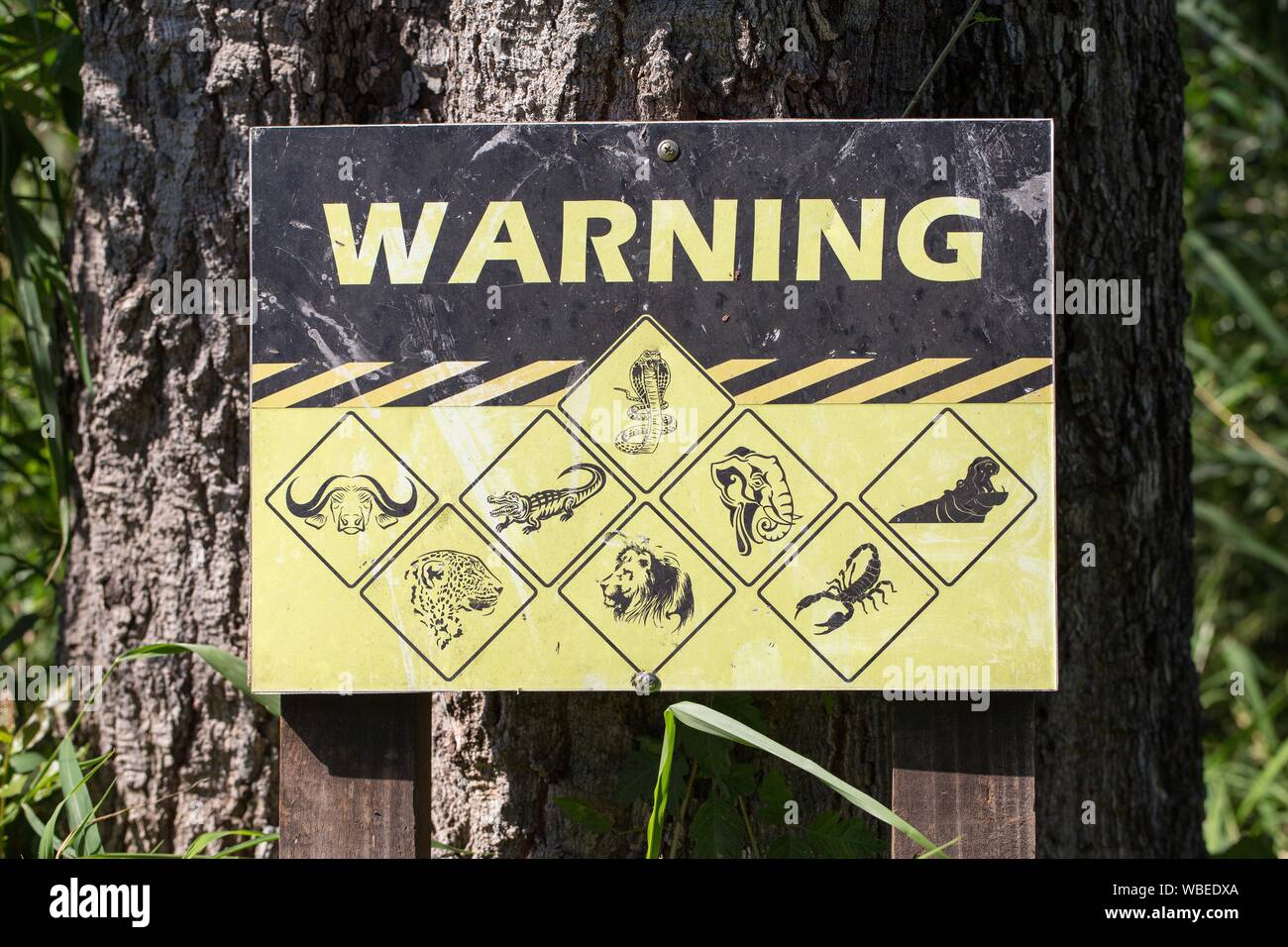 Warning sign, warning of various dangerous African animals, Honeyguide Camp, Manyeleti Game Reserve, South Africa Stock Photo