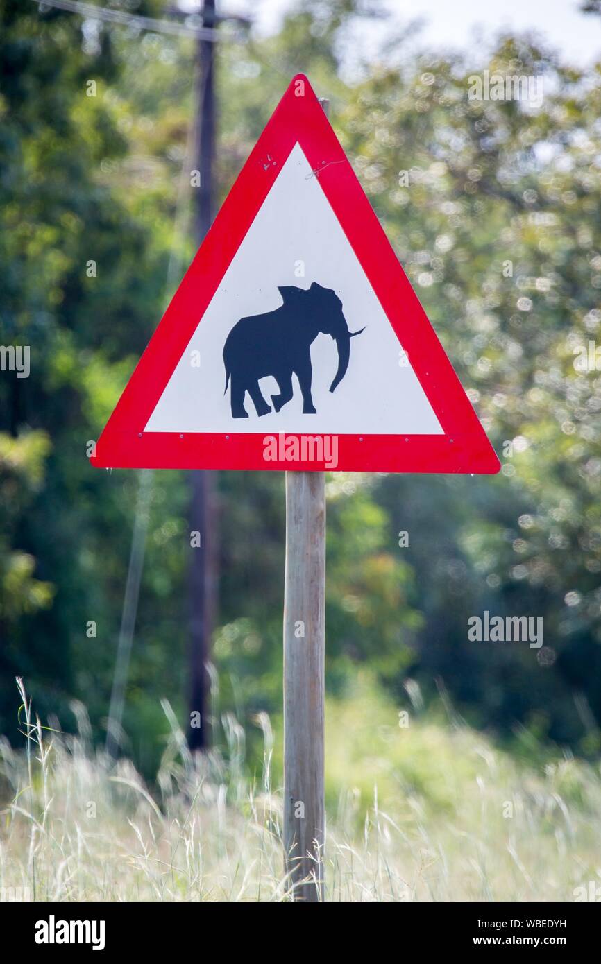 Warning sign, Warning of wild elephants, Manyeleti Game Reserve, South Africa Stock Photo