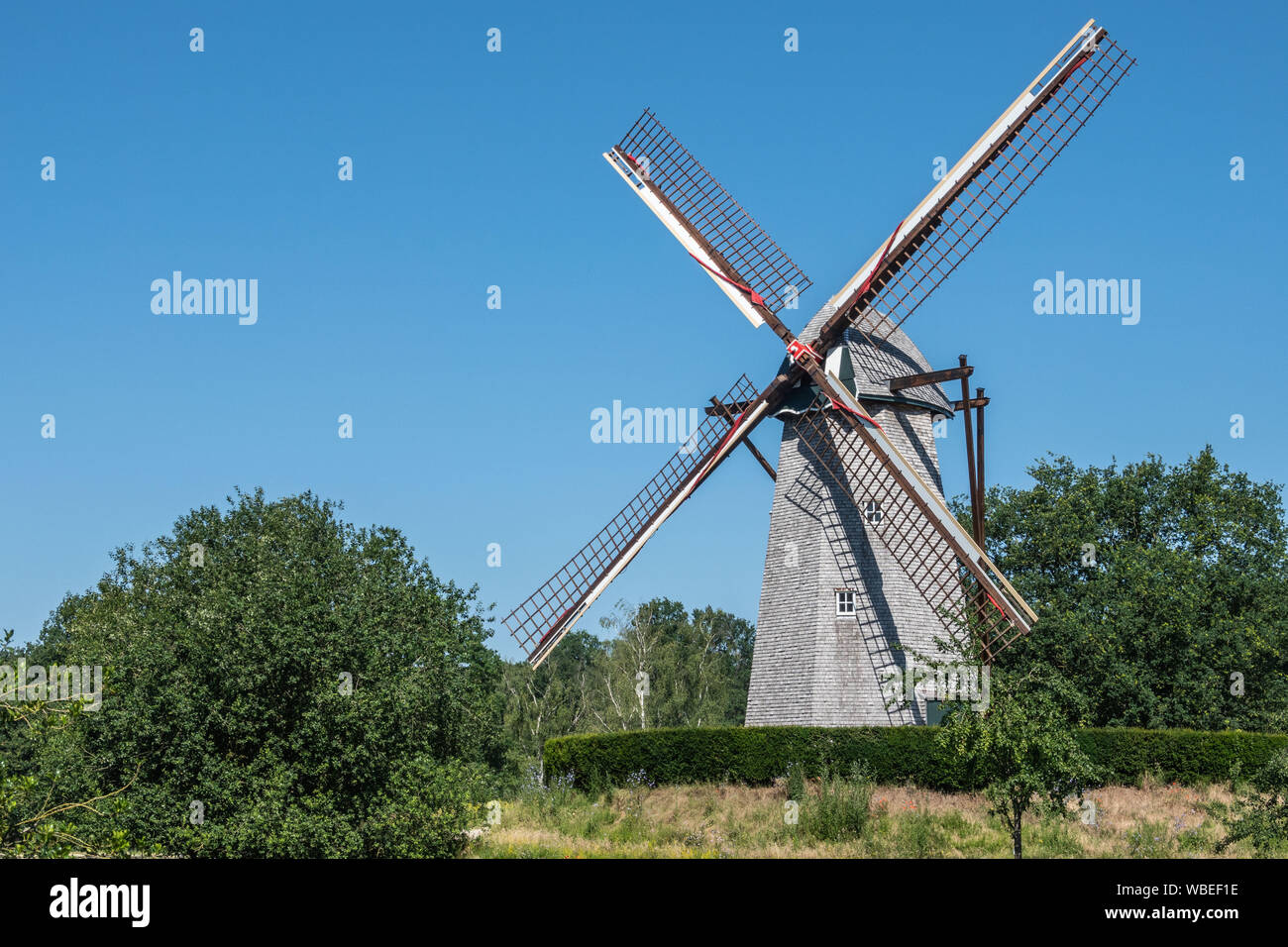 Bokrijk, Belgium - June 27, 2019: Windmill of Schulen is set in green environment of meadow and surrounded by trees under blue sky. No sails on wings. Stock Photo