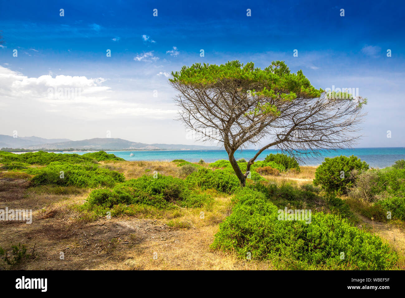 Budoni beach on Sardinia island, Sardinia, Italy, Europe. Stock Photo