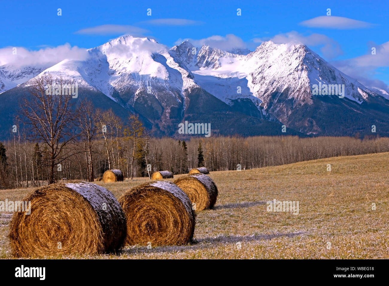 Spectacular Autumn Scenery after first snowfall with large hay bales in a farmers field and majestic Hudson bay Mountain Range and Kathlyn Glacier Stock Photo
