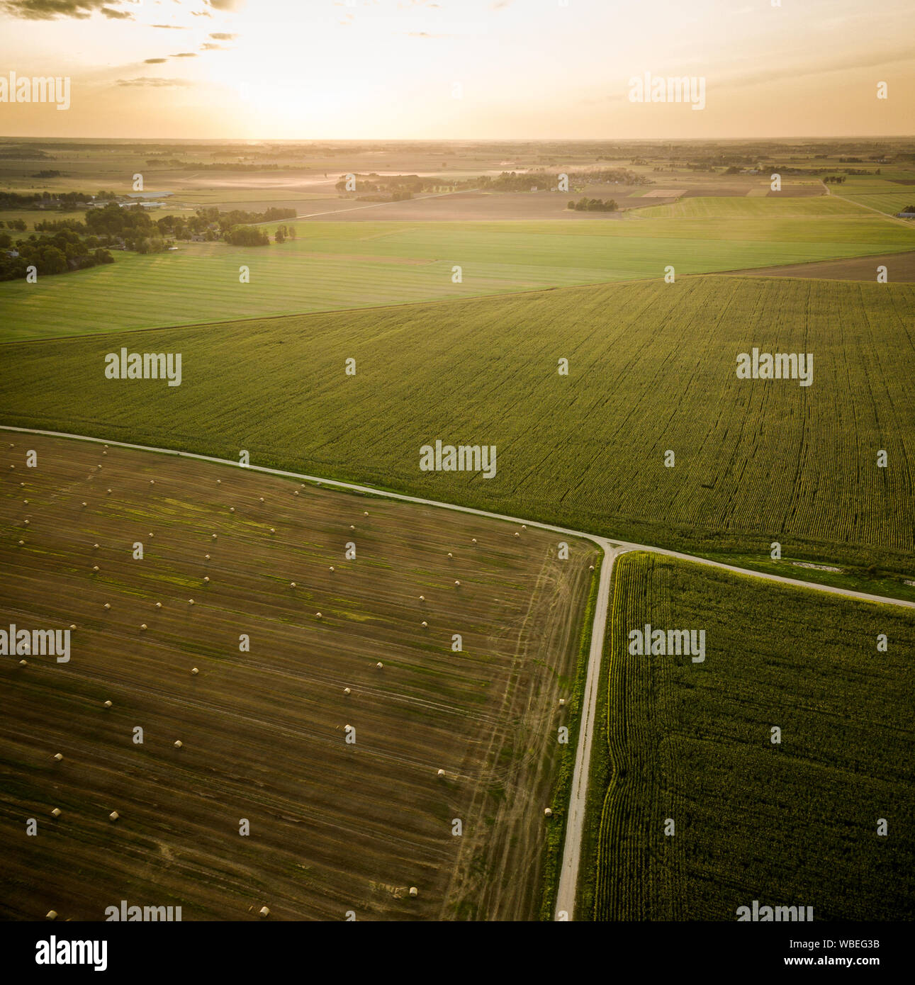 Agricultural fields during golden summer sunset Stock Photo