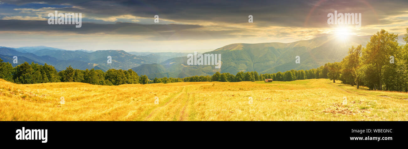 panoramic mountain landscape at sunset. grassy meadow on the hillside in evening light. trees on the edge of a hill. mountain ridge in the distance. c Stock Photo