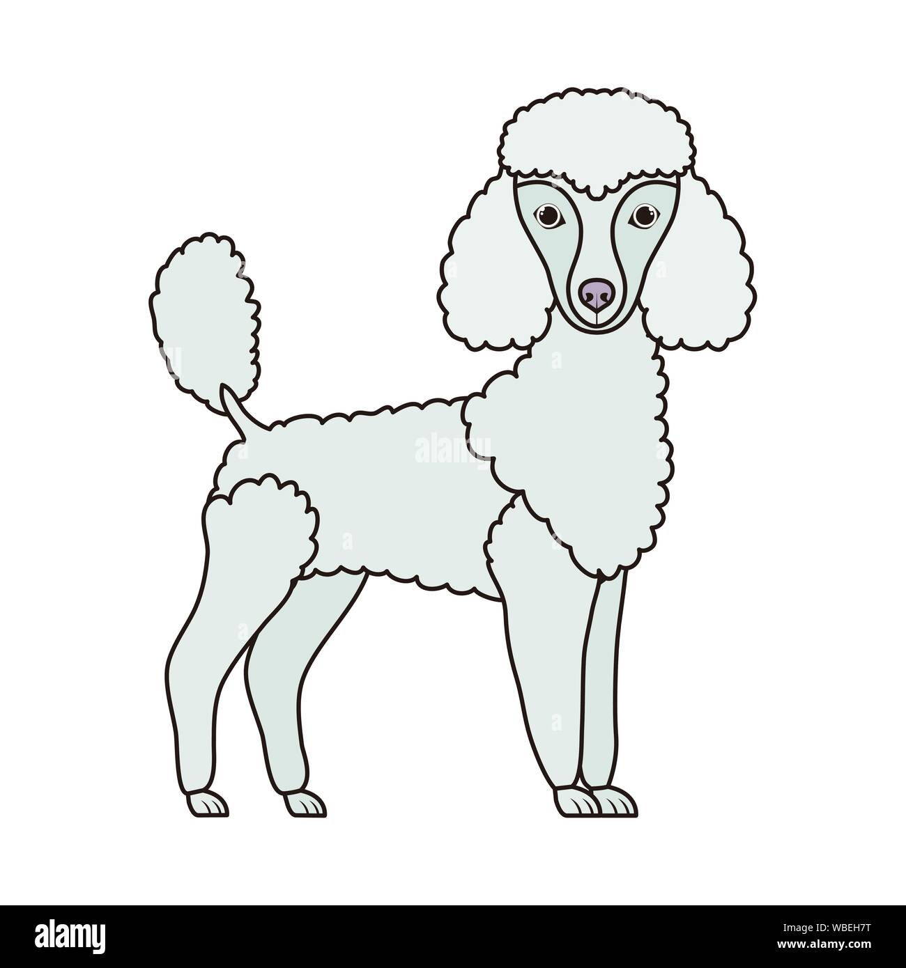 cute poodle dog on white background Stock Vector Image & Art - Alamy