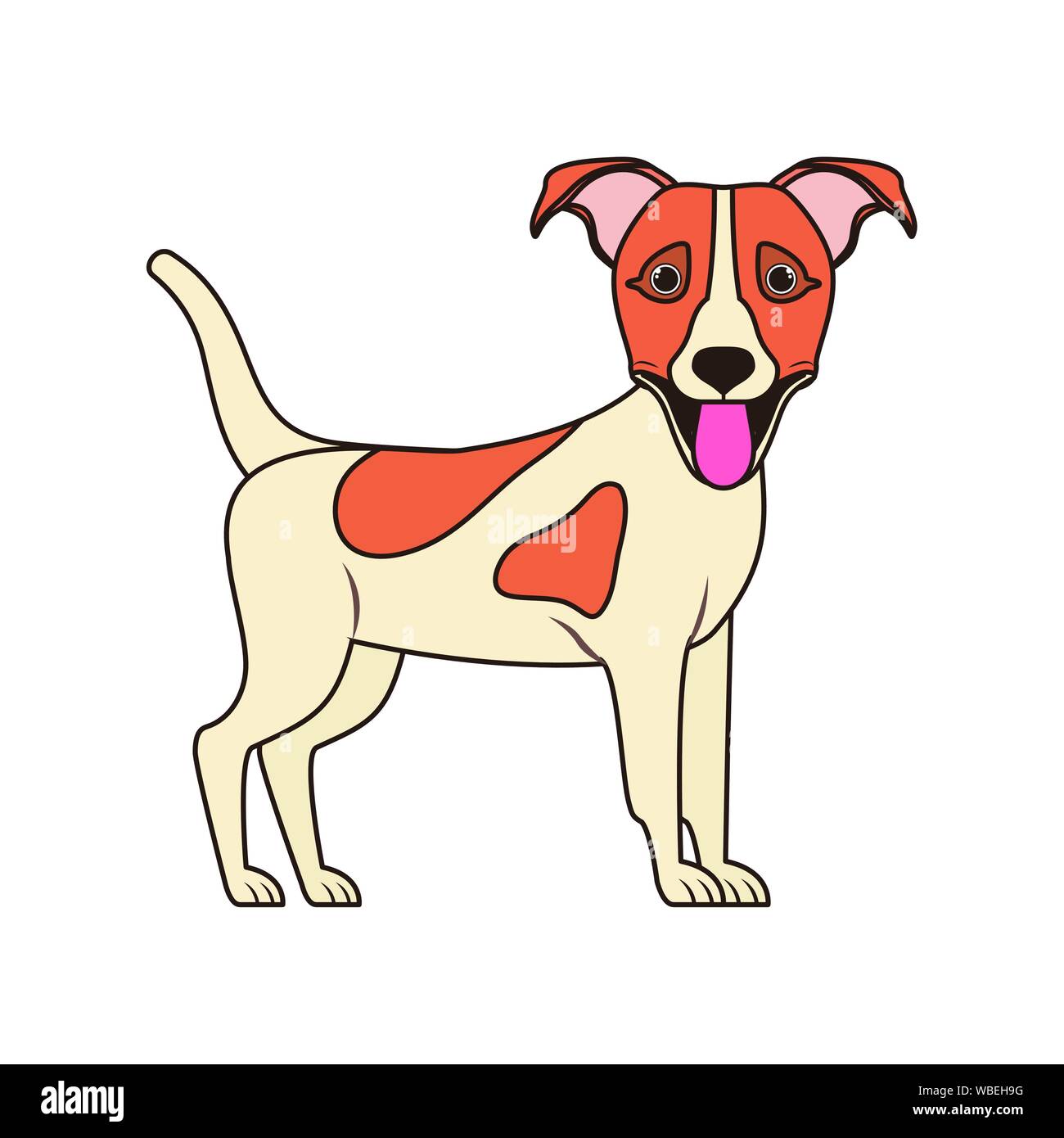 cute jack russell rerrier dog on white background Stock Vector Image ...