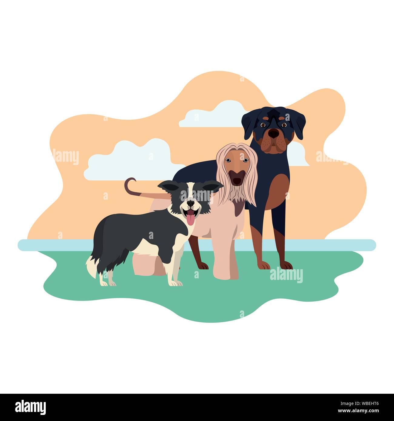 set of adorable dogs on white background Stock Vector Image & Art - Alamy