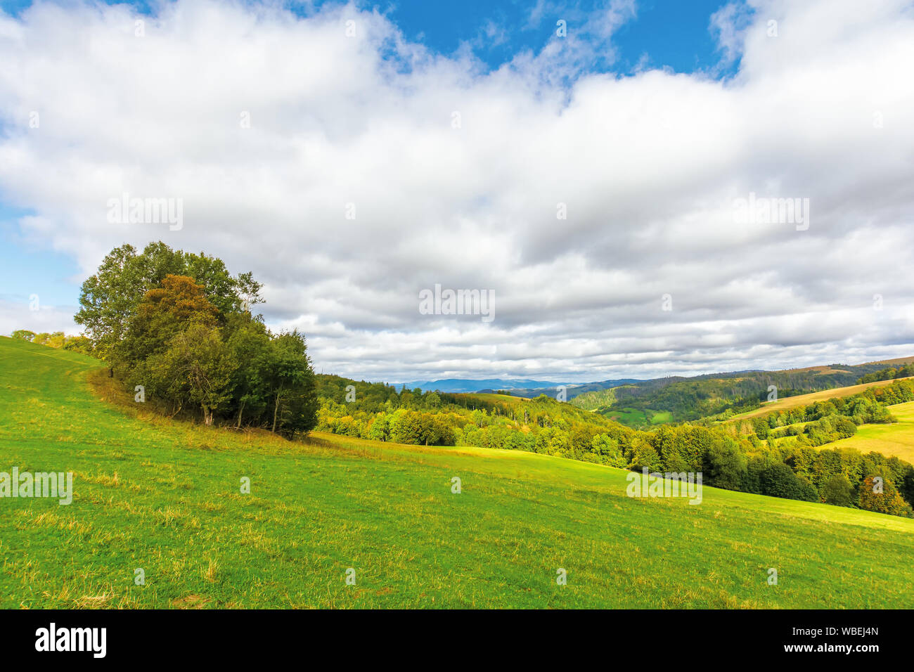beautiful countryside in mountain. trees on grassy hills. sunny september weather with cloudy sky. wonderful nature background Stock Photo
