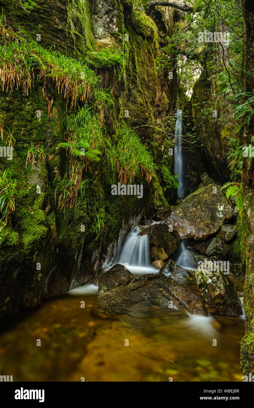 The well hidden & rarely visited Dungeon Ghyll Force waterfall, Lake District, UK Stock Photo