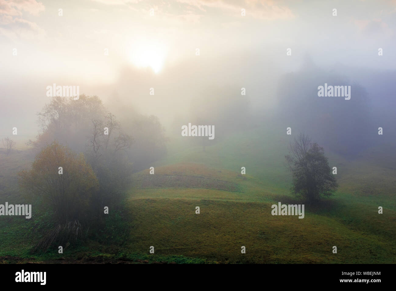 thick fog in autumn countryside. trees on hills in rural area. sunlight breaking through. mysterious weather phenomenon Stock Photo