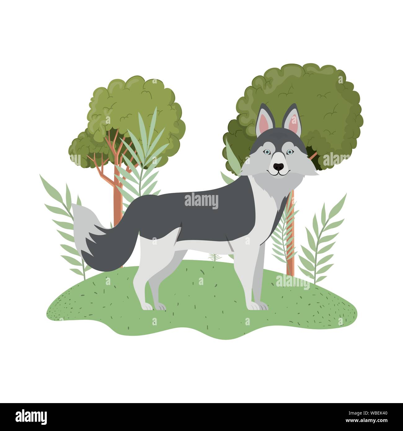 siberiano dog