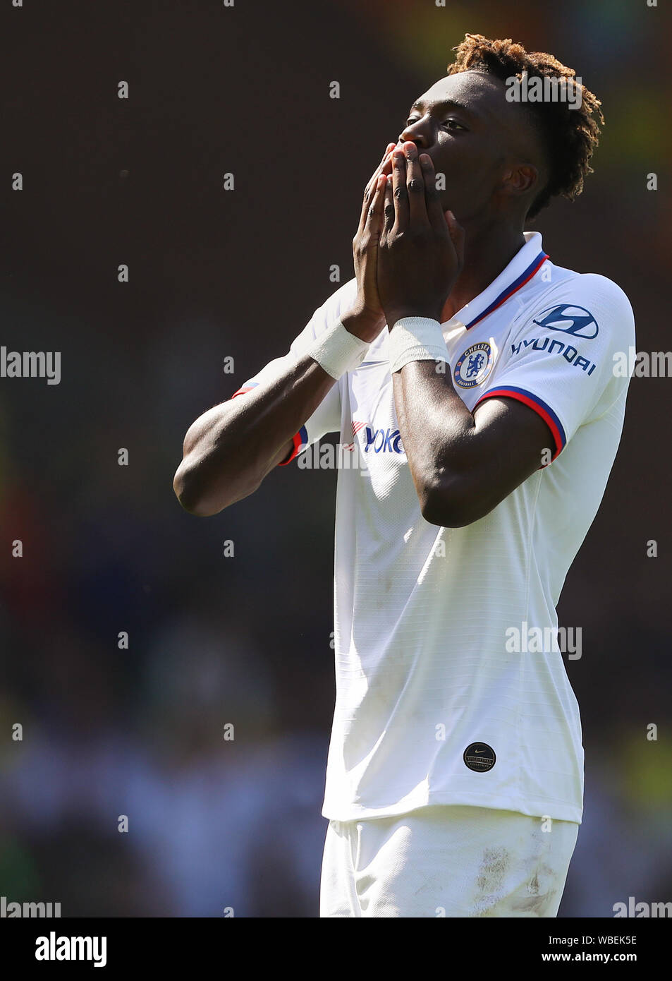 Winning goal scorer, Tammy Abraham of Chelsea celebrates - Norwich City v Chelsea, Premier League, Carrow Road, Norwich, UK - 24th August 2019  Editorial Use Only - DataCo restrictions apply Stock Photo