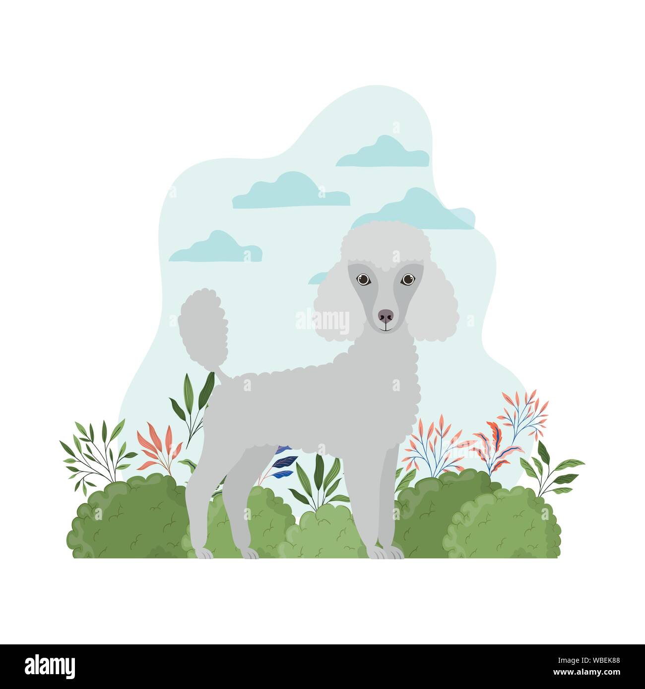 cute poodle dog on white background Stock Vector Image & Art - Alamy