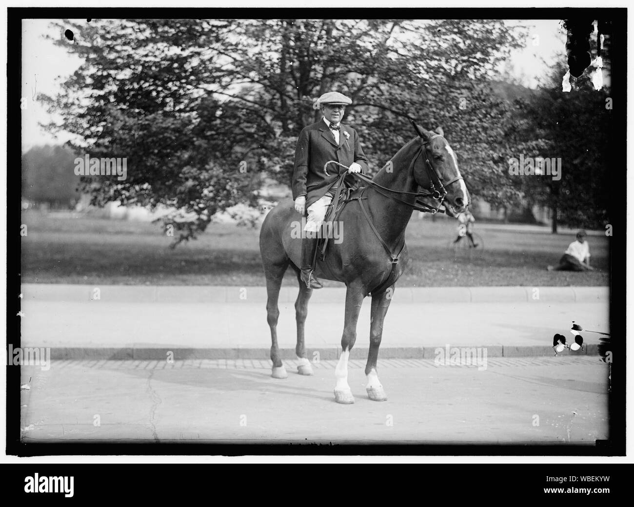GARDNER, AUGUSTUS PEABODY. REP. FROM MASSACHUSETTS, 1902-1917. COL. AG. O, DURING WAR. RIDING AND HUNT CLUB PICNIC Abstract/medium: 1 negative : glass ; 5 x 7 in. or smaller Stock Photo