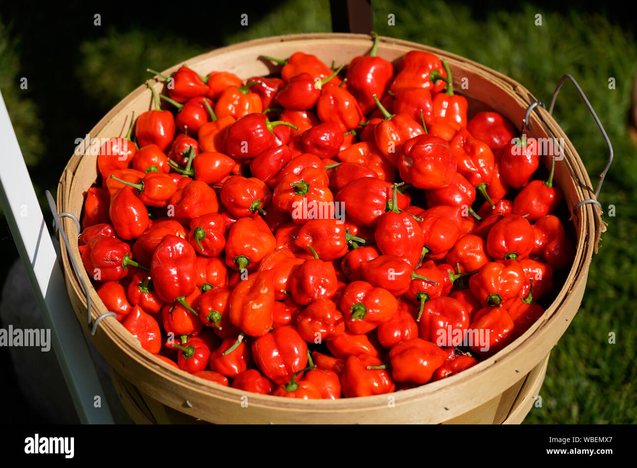 Basket of fire chilli hires stock photography and images Alamy