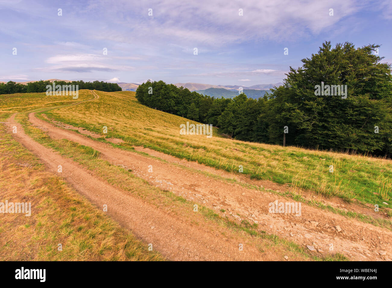 country road through meadow in mountains. wonderful summer scenery at sunset. purple clouds on the blue sky. beech trees along the hill. ridge in the Stock Photo