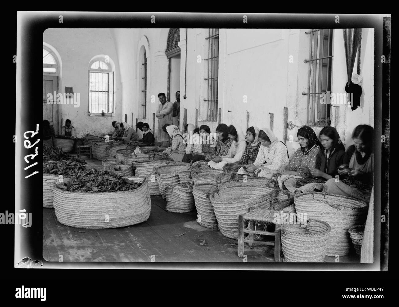 Galilee trip. Nazareth, the Arab Cigarette & Tobacco Co. Ltd. Tatli-Sert Cigarette Factory. Group of women separating tobacco leaves for drying Abstract/medium: G. Eric and Edith Matson Photograph Collection Stock Photo