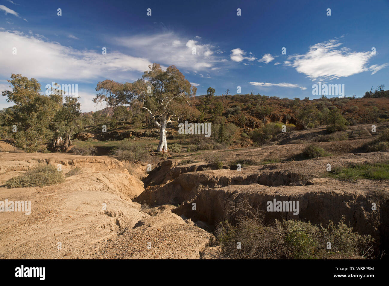 Soil erosion australia hires stock photography and images Alamy