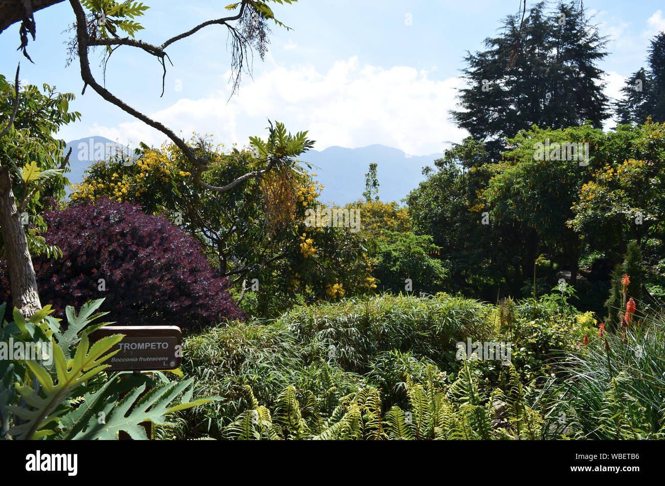 BOGOTA, COLOMBIA - JANUARY 25, 2014: Gardens at the top of Monserrate. Stock Photo