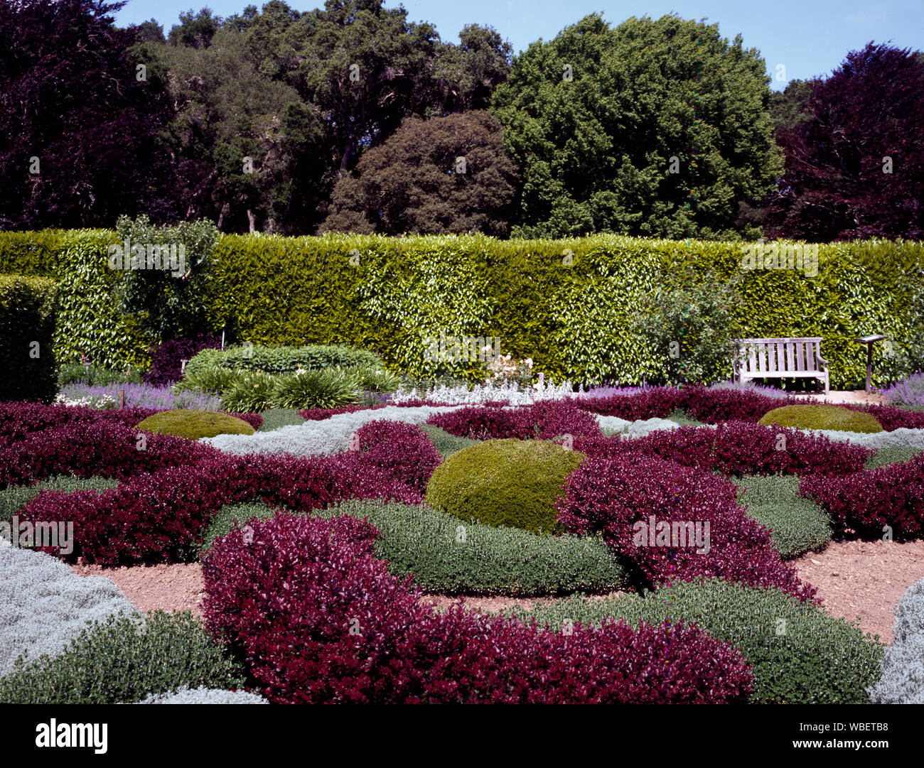 Garden at Filoli, a country estate south of San Francisco, owned by the National Trust for