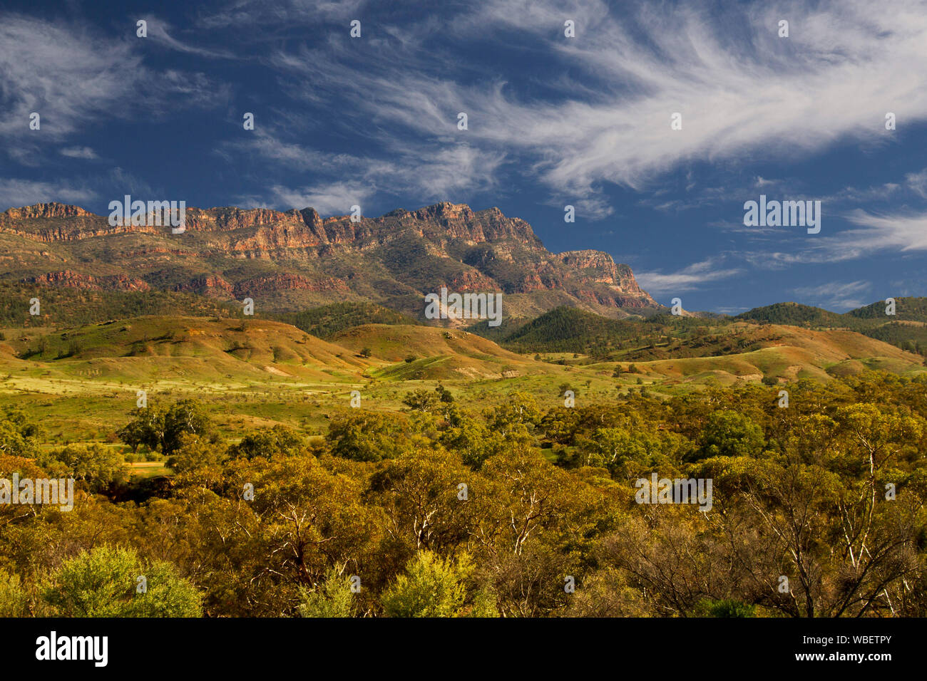 Stunning colourful landscape in Flinders Ranges National Park with rugged red rocky ranges reaching up into blue sky streaked with clouds, South Aust Stock Photo
