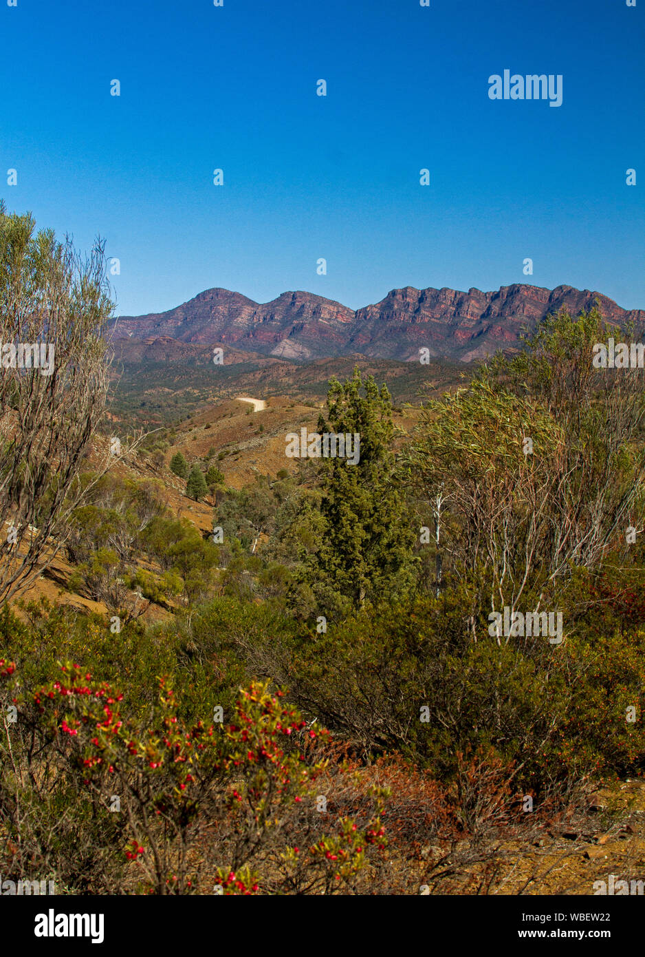 Stunning landscape in Flinders Ranges National Park with rugged red rocky ranges reaching up into blue sky , South Australia Stock Photo