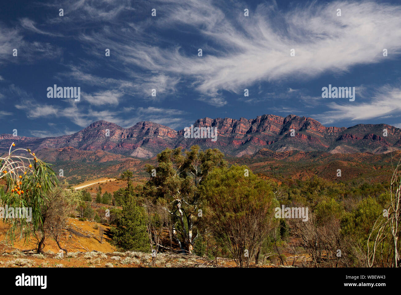 Stunning landscape in Flinders Ranges National Park with rugged red rocky ranges reaching up into blue sky streaked with clouds, South Australia Stock Photo