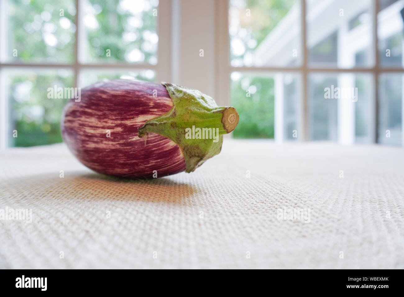A striped eggplant sits on a rustic burlap tablecloth on a kitchen table with a window in the background Stock Photo