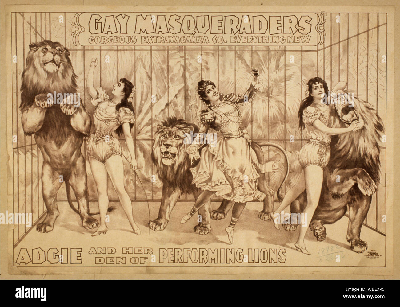 Gay Masqueraders Gorgeous Extravaganza Co. everything new. Abstract/medium: 1 print : black and white lithograph ; sheet 74 x 105 cm. (poster format) Stock Photo
