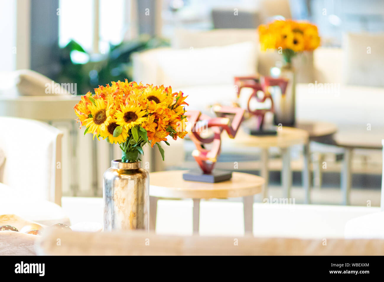 Vase Sunflowers Living Room Stock Photos Vase Sunflowers