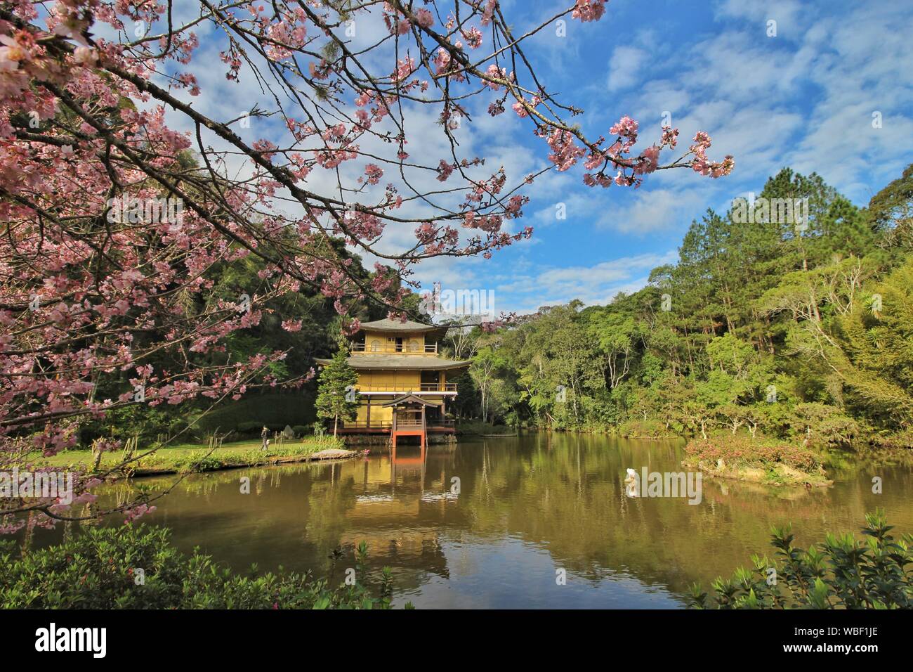 Replica Of Kinkaku ji Temple Stock Photo Alamy replica-of-kinkaku-ji-temple-stock-photo-alamy